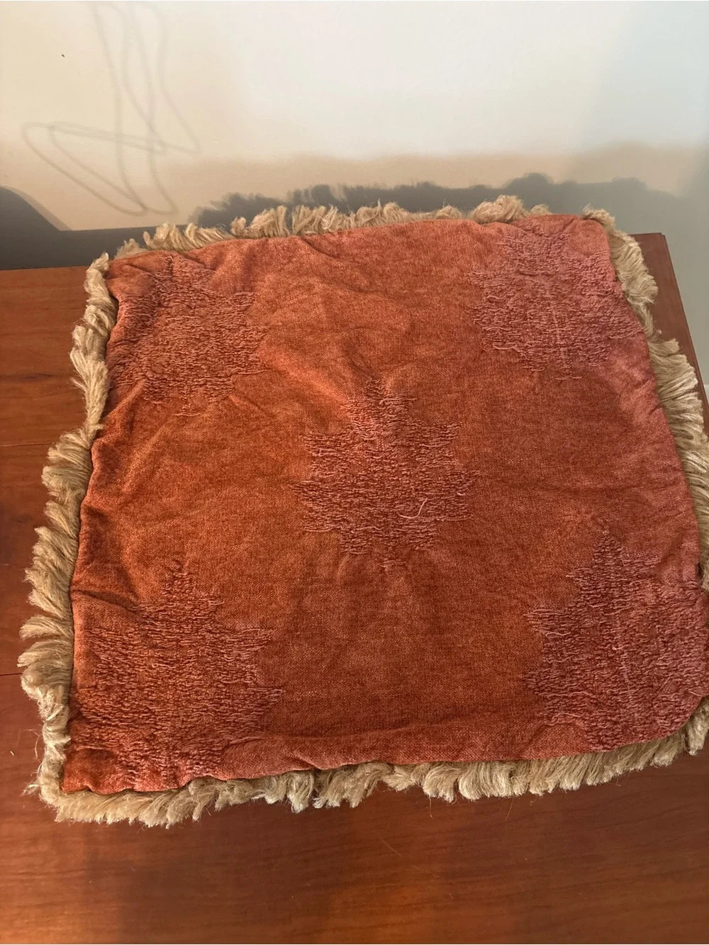 4 Pc Burnt Orange Fringe Pillow Covers & Butterfly Pillowcases